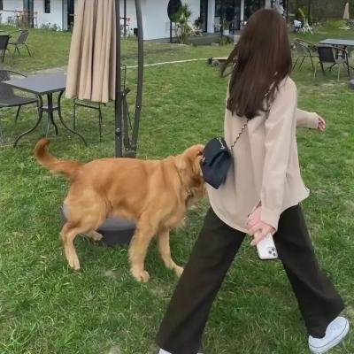 精灵小姐瘦不了